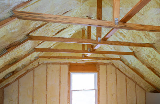 Best Insulation Installation Services in Detroit Beach, MI