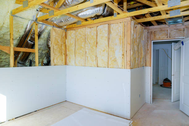 Best Types of Insulation in Detroit Beach, MI