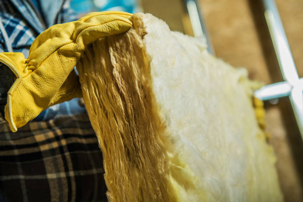Best Types of Insulation in Detroit Beach, MI