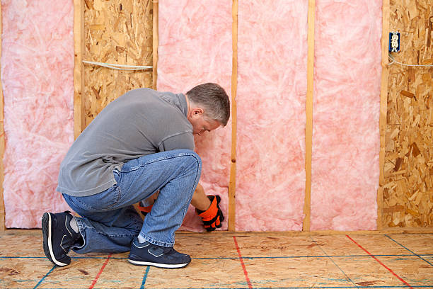 Best Commercial Insulation in Detroit Beach, MI
