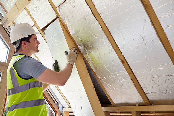 Best Insulation for Specific Applications in Detroit Beach, MI